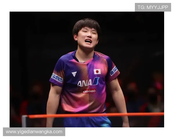 球迷为张本智和送暖心留言 支持不懈